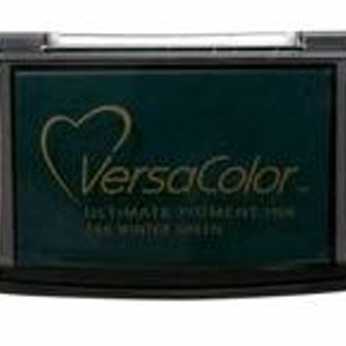 VersaColor Pigment Ink Winter Green