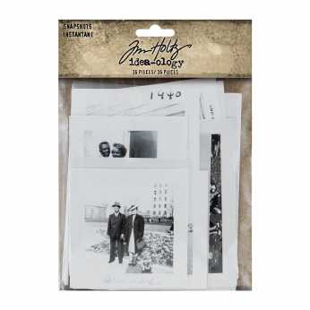 Tim Holtz Snapshots